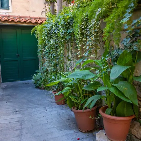 Apartmán Belly Split