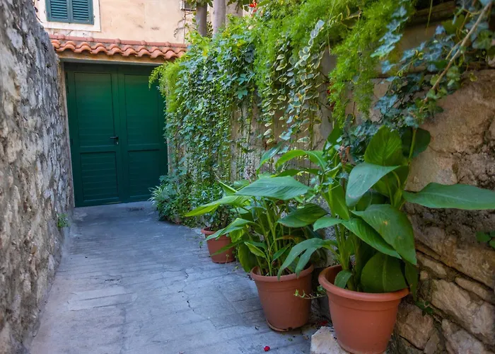 아파트 Belly 스플리트